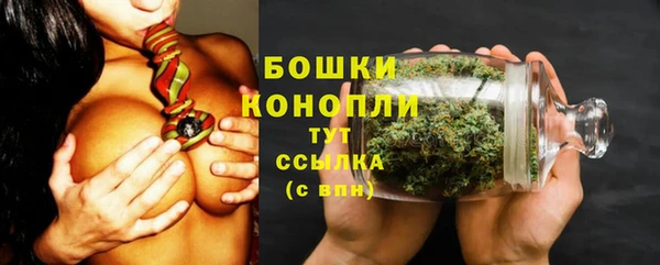 ECSTASY Коряжма