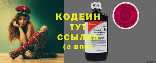 гашик Костерёво