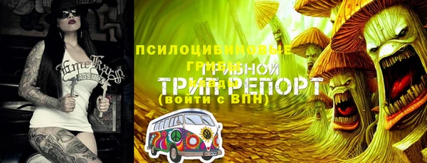 гашик Костерёво