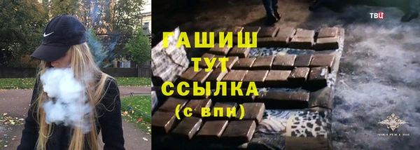гашик Краснослободск