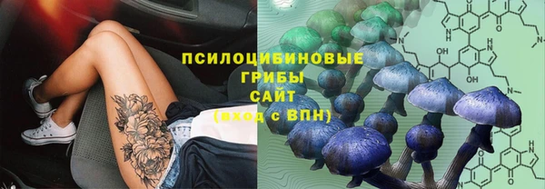 гашик Краснослободск