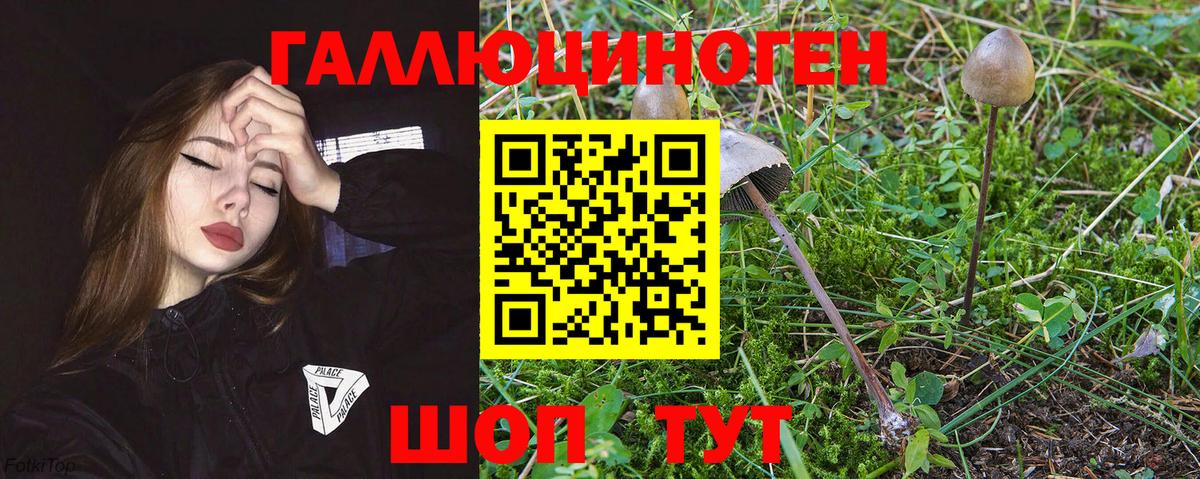 Галлюциногенные грибы мухоморы  Вход с VPN  Кувандык  Галлюциногенные грибы ЛСД 